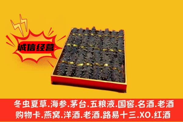 阿里地区噶尔回收海参